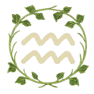 Wassermannsymbol